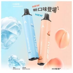 【南極冰】KIS5一次性6500口拋棄式電子煙|雙口味磁吸版|18種風味自由混搭