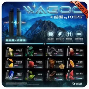 哇酷WAGOO & KIS5拋棄式6500口雙芯雙倉一次性電子煙|雙口味混搭
